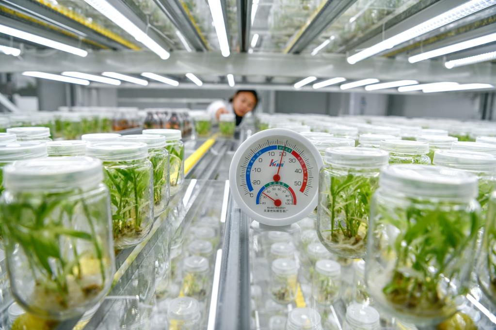 貴州：&ldquo;數字農耕&rdquo;為農民插上增收翅膀