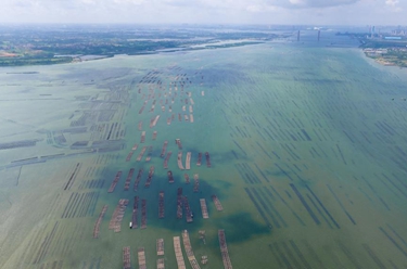 新華全媒+丨天空之眼瞰湛江：向海而興 向海圖強 向海&ldquo;湛&rdquo;放