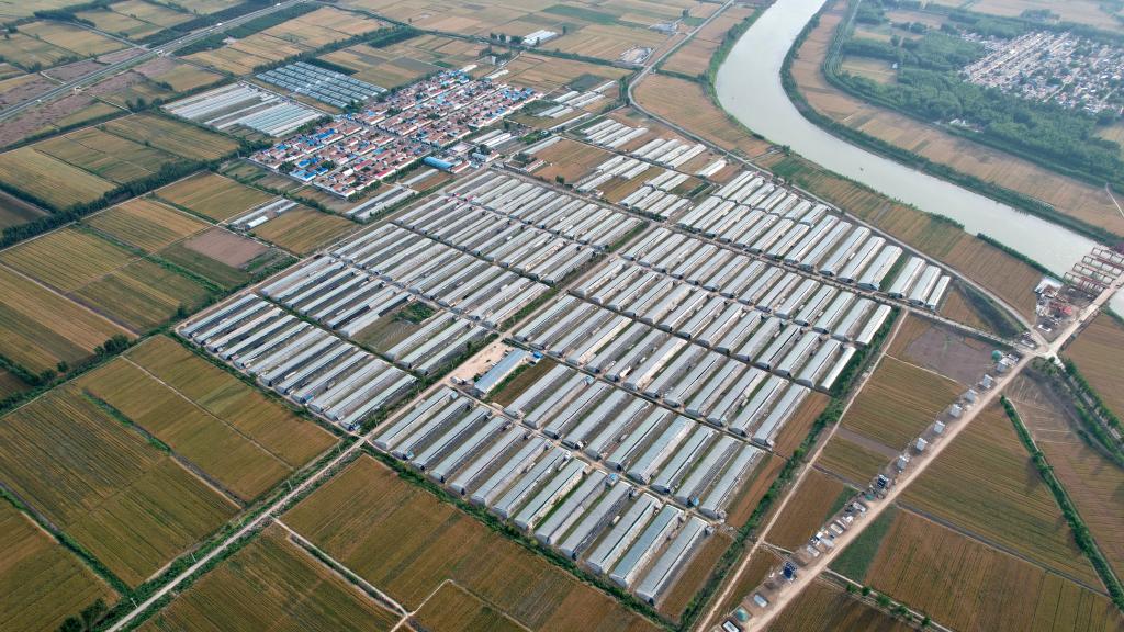 &ldquo;采摘游&rdquo;助推鄉村特色產業發展