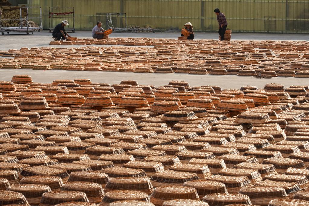 山東臨沭：小柳編編織富民大產業