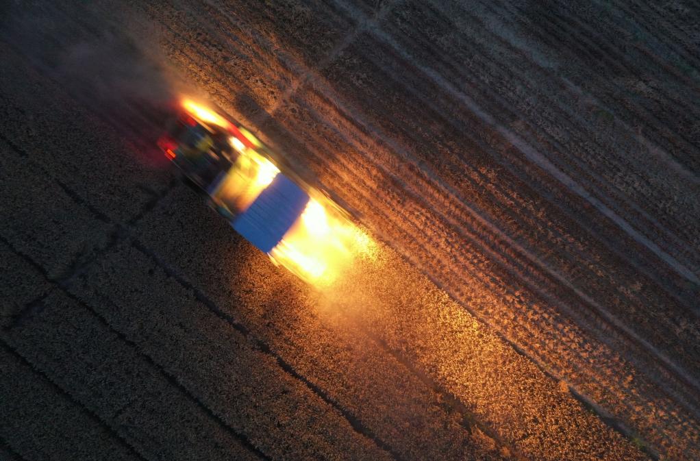 新華全媒+丨小村夜&ldquo;戰(zhàn)&rdquo;：中原麥?zhǔn)?&ldquo;搶&rdquo;字當(dāng)頭