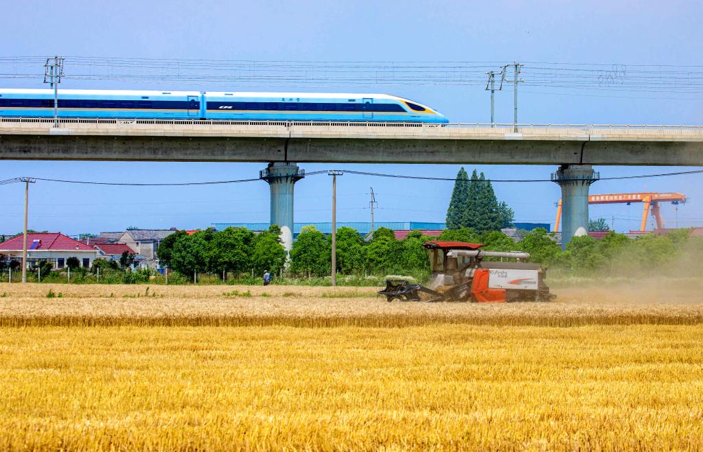 全國(guó)&ldquo;三夏&rdquo;麥?zhǔn)者M(jìn)度過(guò)半