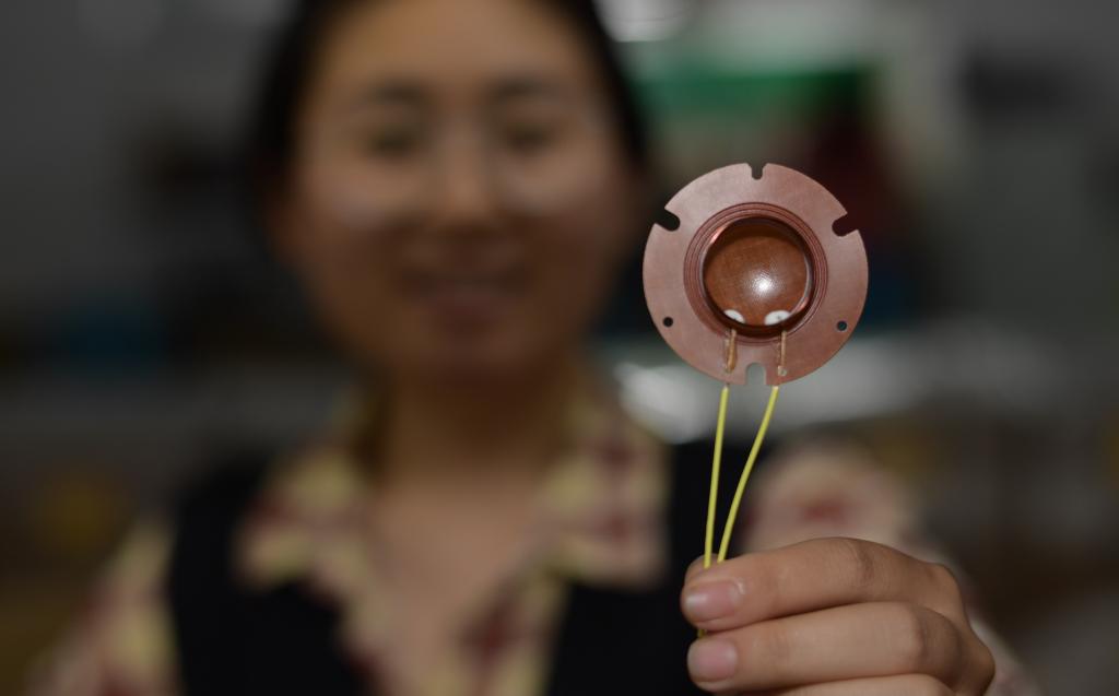 貴州鳳岡：發展&ldquo;專精特新&rdquo;企業 壯大縣域經濟