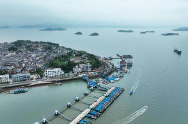 &ldquo;千萬工程&rdquo;調研行丨浙江寧海：美麗半島小鎮盛開&ldquo;美麗經濟&rdquo;