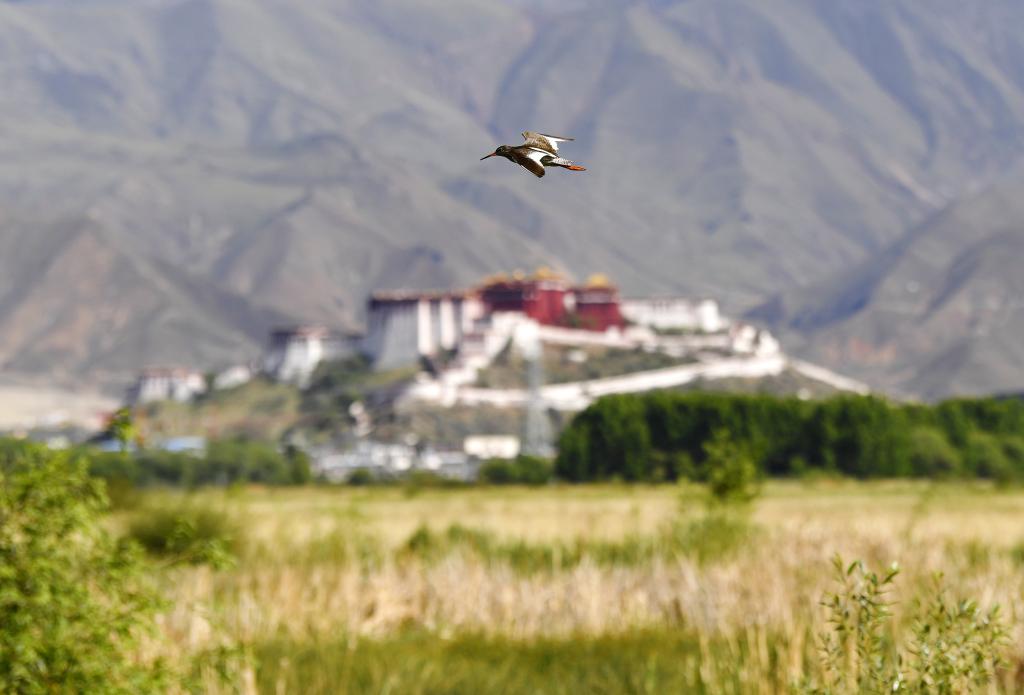 鏡觀中國&middot;新華社國內新聞照片一周精選