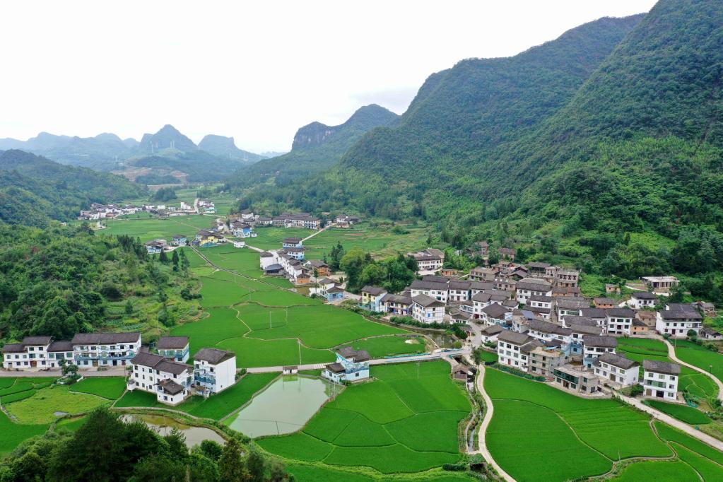 貴州荔波：藝術從業(yè)者&ldquo;進村&rdquo;