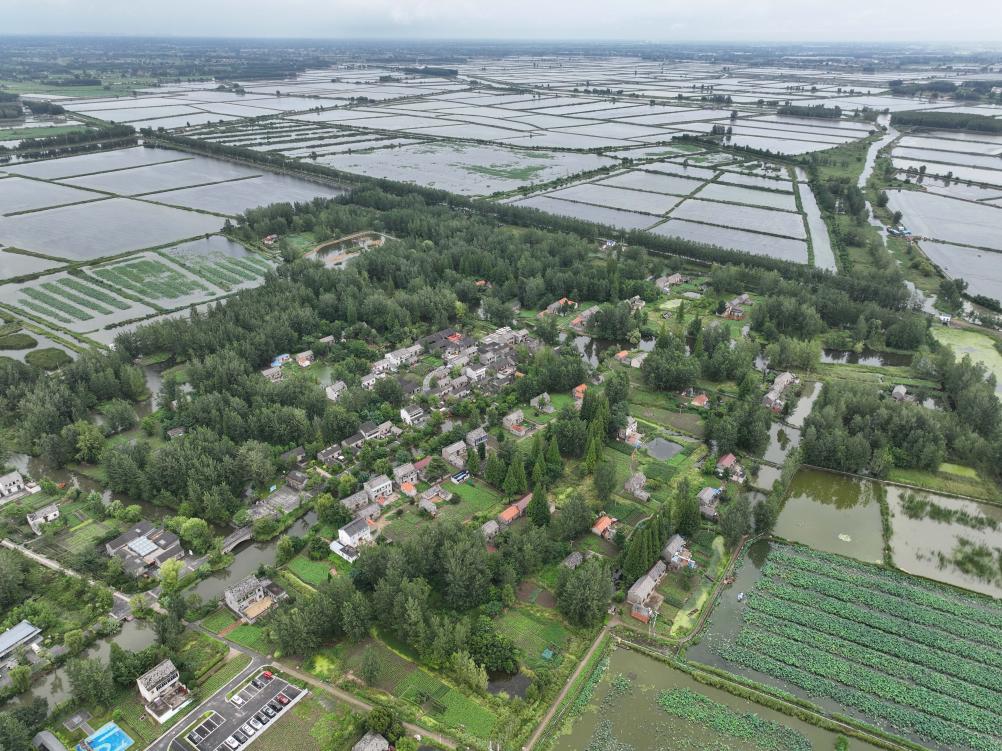 江蘇阜寧：古村&ldquo;煥新&rdquo;迎客來