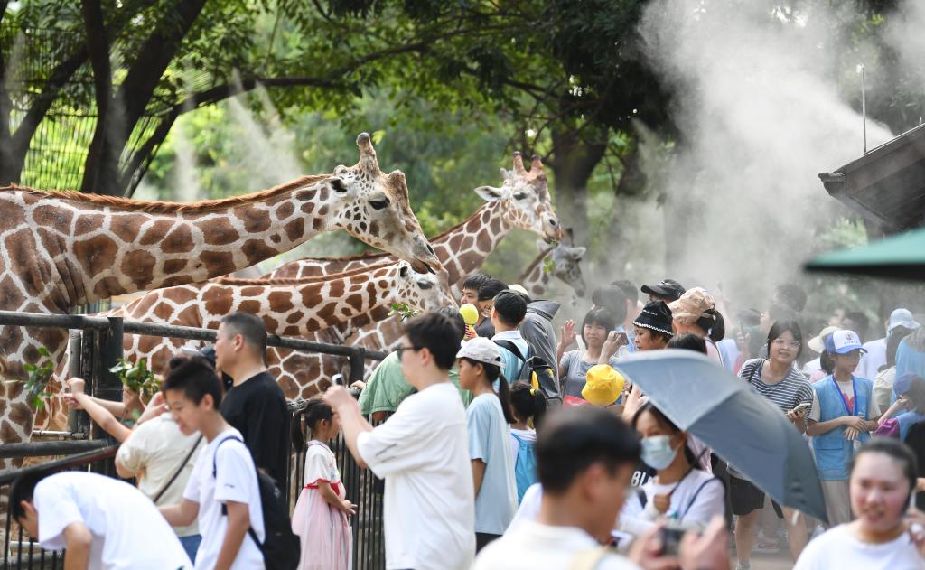 廣州動物園毛孩子們的避暑&ldquo;涼方&rdquo;