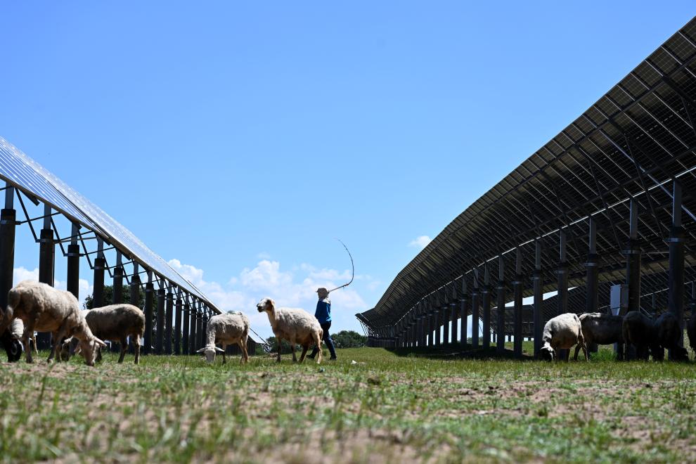 河北圍場：&ldquo;牧光互補&rdquo;助力綠色發展