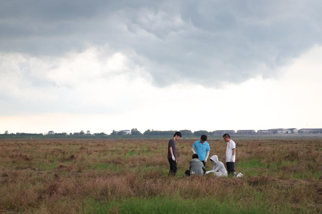 新時(shí)代中國(guó)調(diào)研行&middot;長(zhǎng)江篇｜守護(hù)&ldquo;長(zhǎng)江之腎&rdquo;的&ldquo;洞庭麻雀&rdquo;