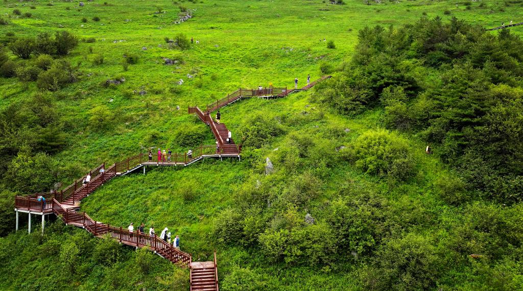 陜西留壩：&ldquo;涼資源&rdquo;激活&ldquo;熱經濟&rdquo; 秦嶺小城避暑游升溫
