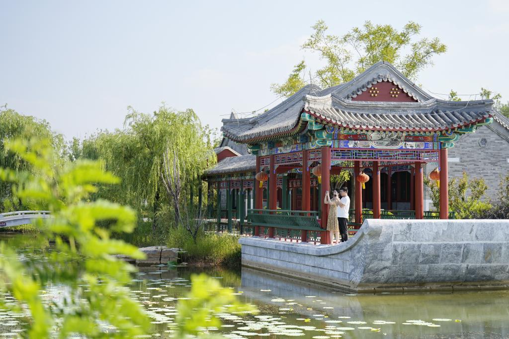 河北開平：采煤塌陷區的&ldquo;綠色轉身&rdquo;