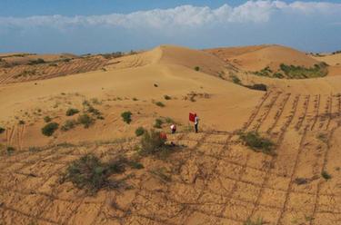 為大漠穿上&ldquo;網格衫&rdquo;