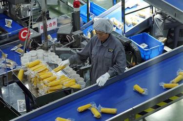 讓飯碗裝上更多優質&ldquo;龍江糧&rdquo;：黑龍江打造特色現代農業