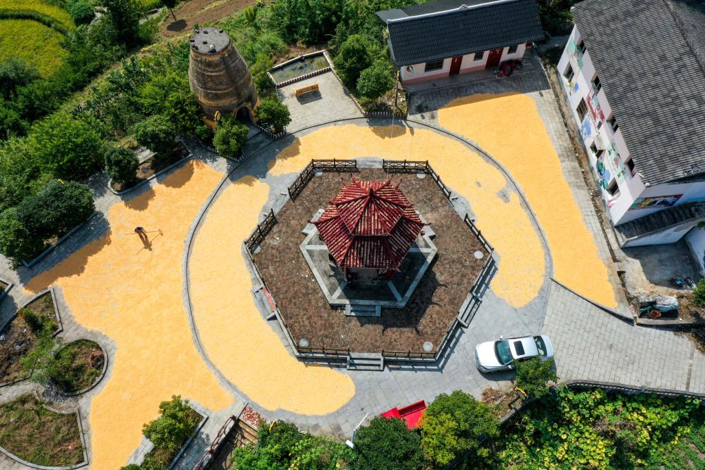 騰地&ldquo;曬秋&rdquo;確保顆粒歸倉(cāng)