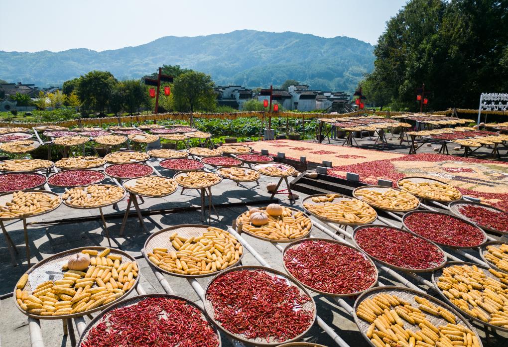 美麗中國丨皖南曬秋&ldquo;畫&rdquo;豐收