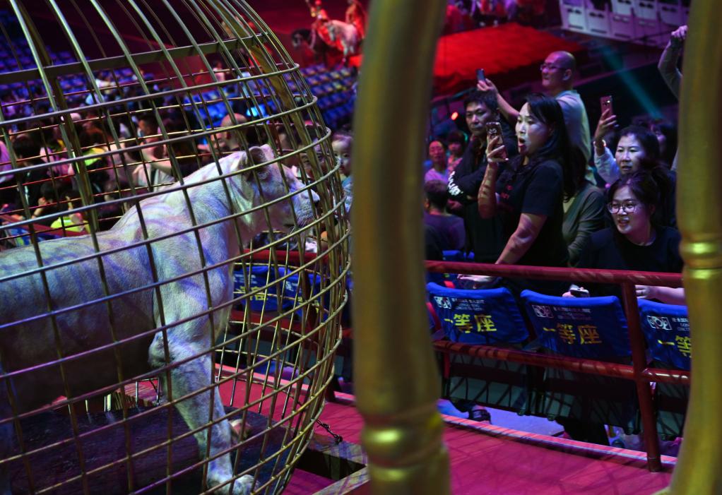 河北承德：特色演出點(diǎn)亮&ldquo;夜經(jīng)濟(jì)&rdquo;