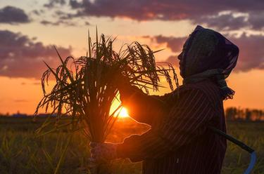 鏡觀中國&middot;新華社國內新聞照片一周精選
