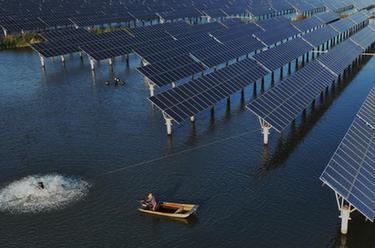 河北豐南：&ldquo;漁光互補&rdquo; 生態富民