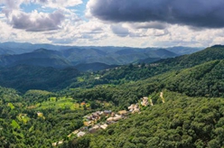 新華全媒+｜天空之眼瞰祖國&mdash;&mdash;飛閱景邁山古茶林文化景觀