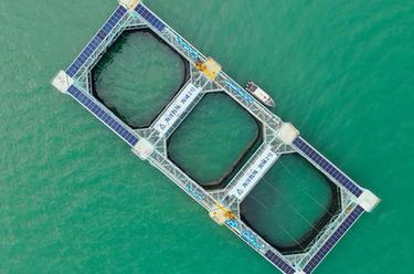 &ldquo;游牧&rdquo;深藍(lán)&mdash;&mdash;養(yǎng)魚百萬(wàn)斤的巨無(wú)霸&ldquo;糧倉(cāng)&rdquo;助力向海圖強(qiáng)