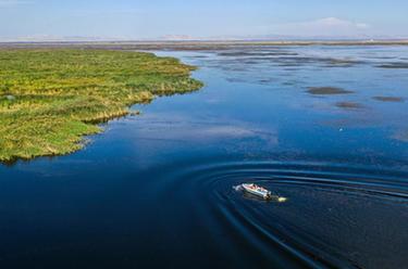 新時代中國調(diào)研行&middot;黃河篇|守望烏梁素海的大學(xué)生們