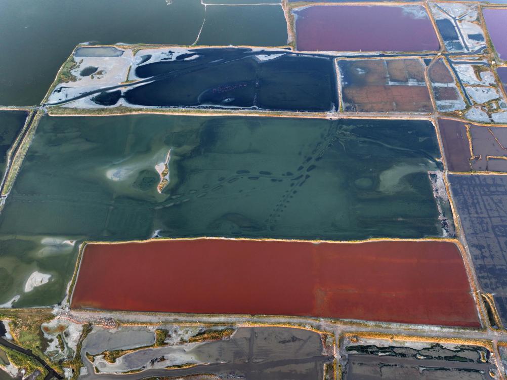 新時代中國調研行&middot;黃河篇丨鹽湖日出