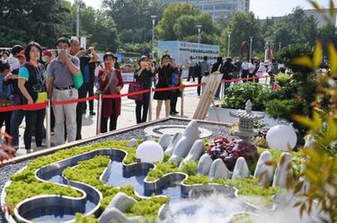 河北石家莊：園林&ldquo;微景觀&rdquo;展為假期添彩