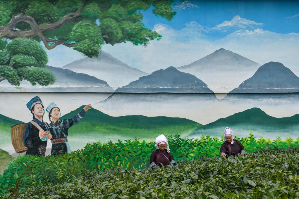 鏡觀中國丨全面深化改革十年間&middot;鄉村振興新面貌