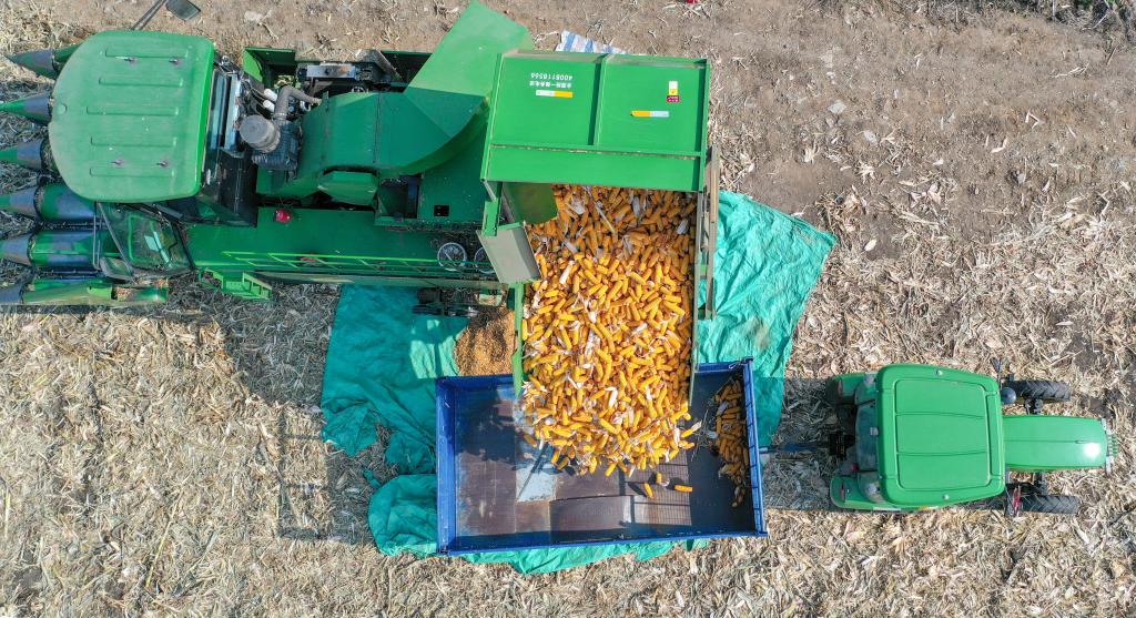 新華全媒+｜吉林：機械化作業為秋收按下&ldquo;快進鍵&rdquo;