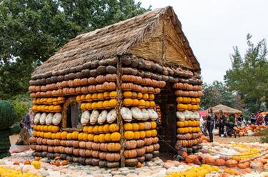 美國達拉斯十萬南瓜堆成&ldquo;南瓜小鎮(zhèn)&rdquo;