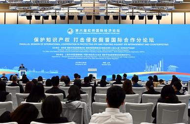 第六屆虹橋國(guó)際經(jīng)濟(jì)論壇&ldquo;保護(hù)知識(shí)產(chǎn)權(quán) 打擊侵權(quán)假冒國(guó)際合作&rdquo;分論壇舉行