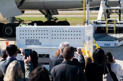 旅美大熊貓&ldquo;美香&rdquo;一家三口啟程回國