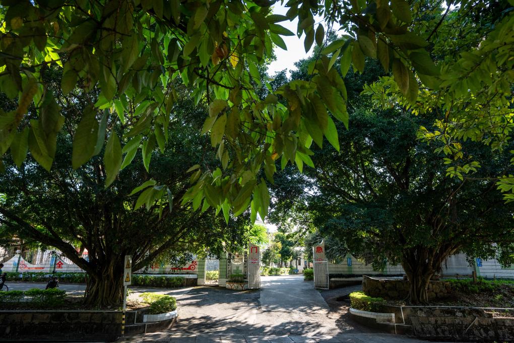 &ldquo;國門醫生&rdquo;沈坤：懸壺三十載 仁心護健康