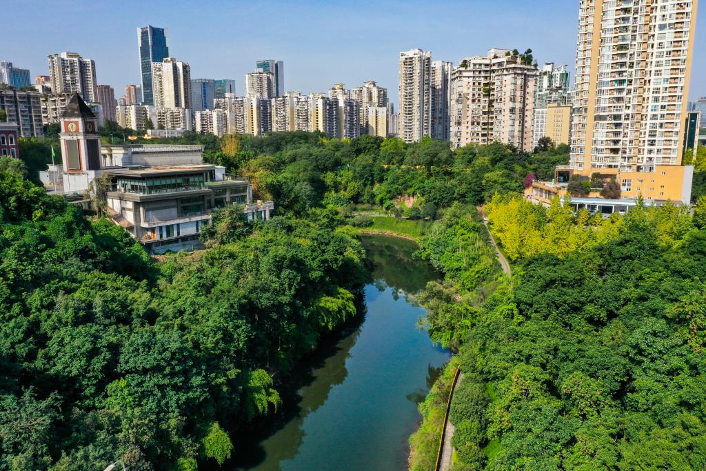 重慶渝北：&ldquo;清水綠岸&rdquo;治理提升顯成效