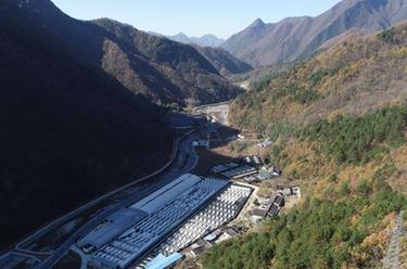 陜西寧陜：香菇產業助力鄉村振興