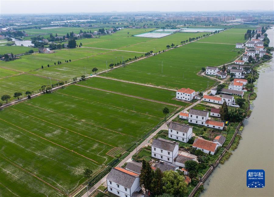 （新華全媒頭條&middot;圖文互動）（5）從百年黨史汲取不懈奮斗的力量&mdash;&mdash;與會同志談黨的十九屆六中全會精神