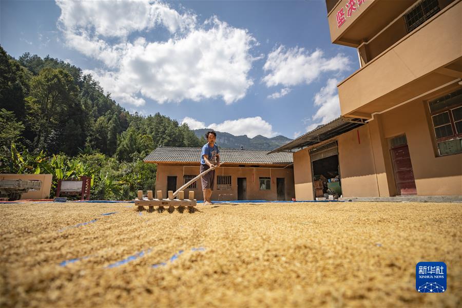 （新華全媒頭條&middot;圖文互動）（6）從百年黨史汲取不懈奮斗的力量&mdash;&mdash;與會同志談黨的十九屆六中全會精神