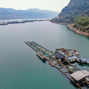 （新華全媒頭條&middot;圖文互動）（1）生態(tài)美、產業(yè)興、文化昌&mdash;&mdash;長江經濟帶生態(tài)優(yōu)先、綠色發(fā)展見聞