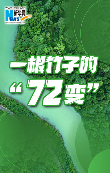 一根竹子的“72变”