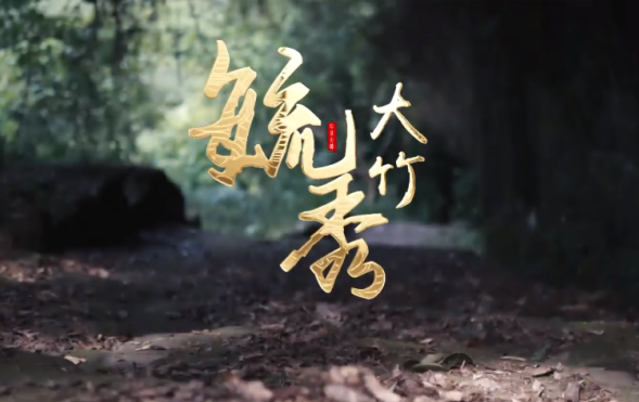 这一次，不得不去大竹了