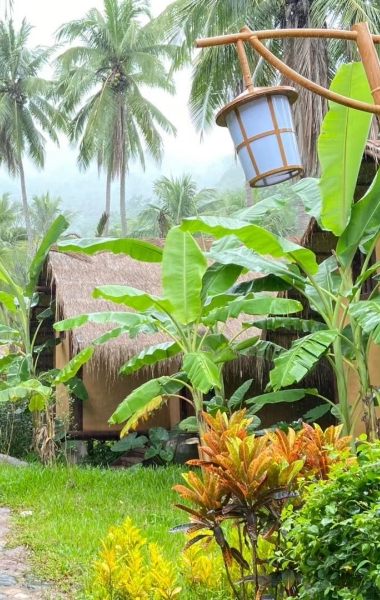 生态饭、旅游饭，让这座小城越来越香