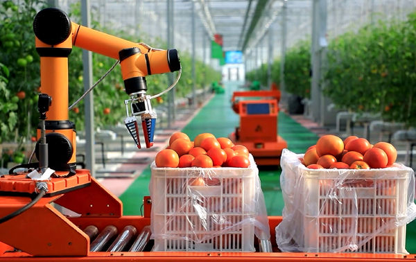 这一次，不得不去寿光了！