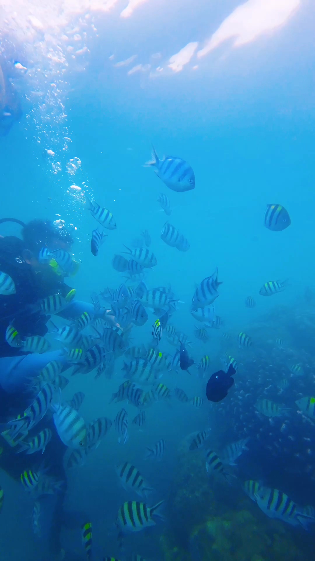 西岛“景社共生”：海岛旅游与渔村文化的双向奔赴