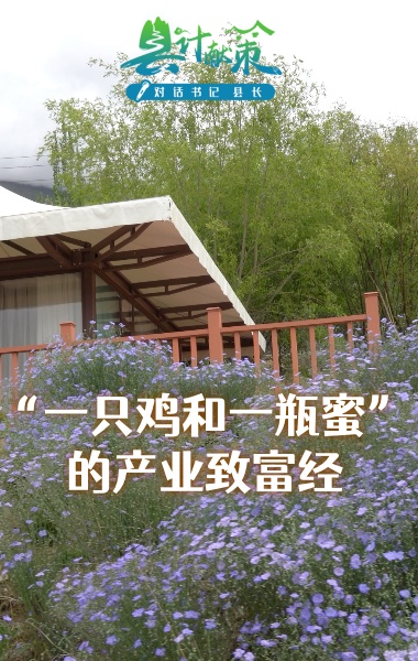 “一只鸡和一瓶蜜”的产业致富经