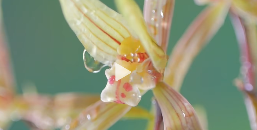 兰陵蹚出“农文旅体”融合发展新路径