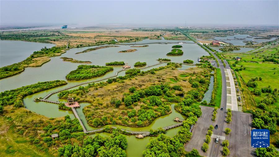 （新華全媒頭條&middot;圖文互動）（3）&ldquo;讓我們一起向未來&rdquo;&mdash;&mdash;聆聽習近平主席2022年新年賀詞