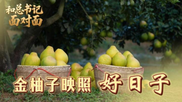 和總書記面對(duì)面丨金柚子映照好日子
