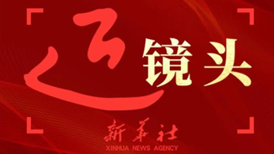 近鏡頭丨總書記情牽南粵大地