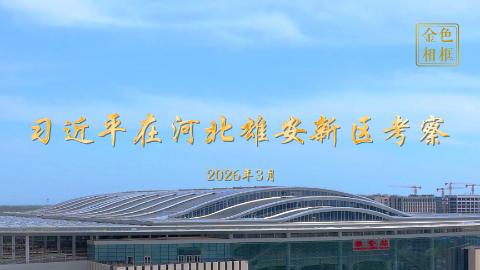金色相框丨習近平在河北雄安新區考察